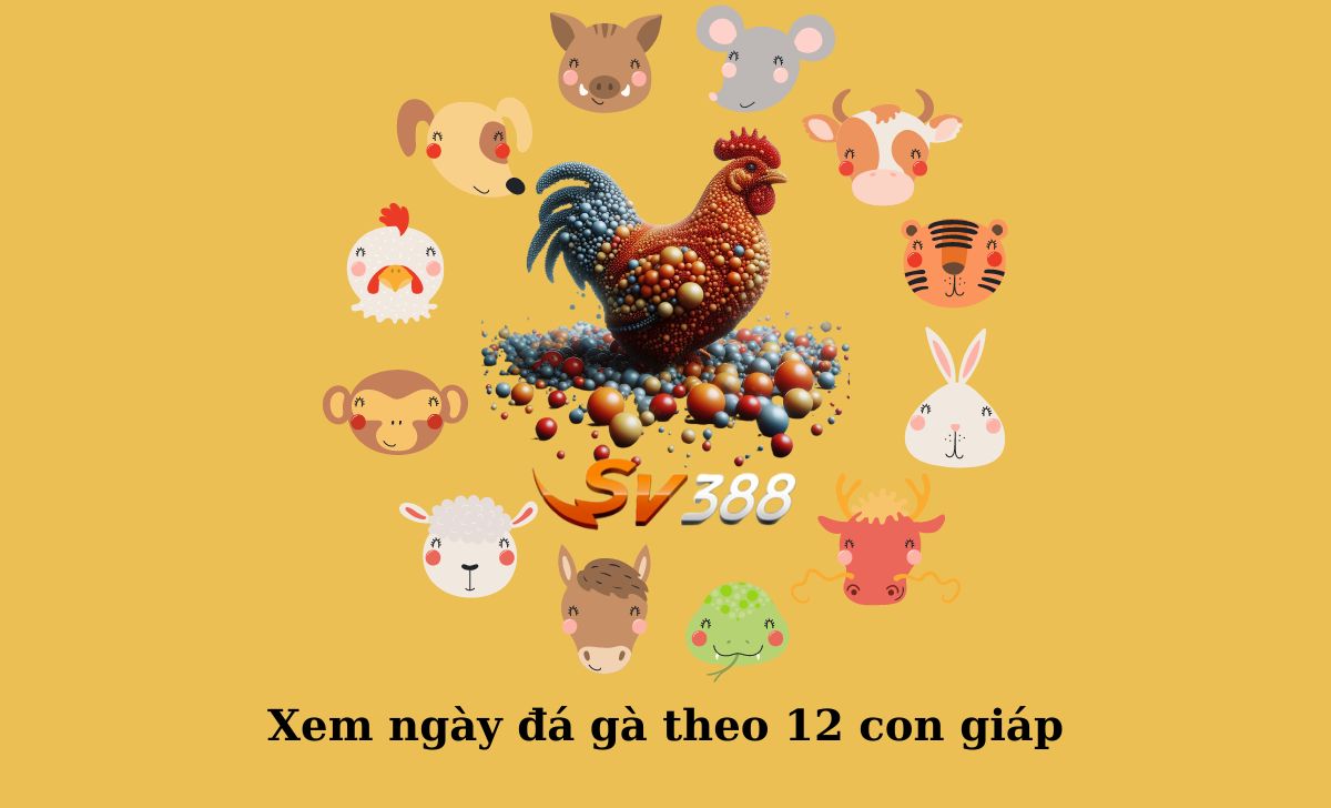 Xem ngày đá gà theo 12 con giáp